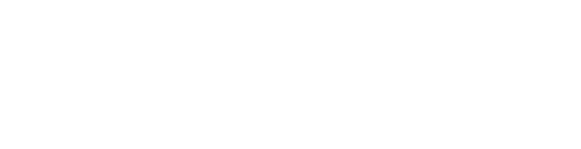 USA Awards Logo White